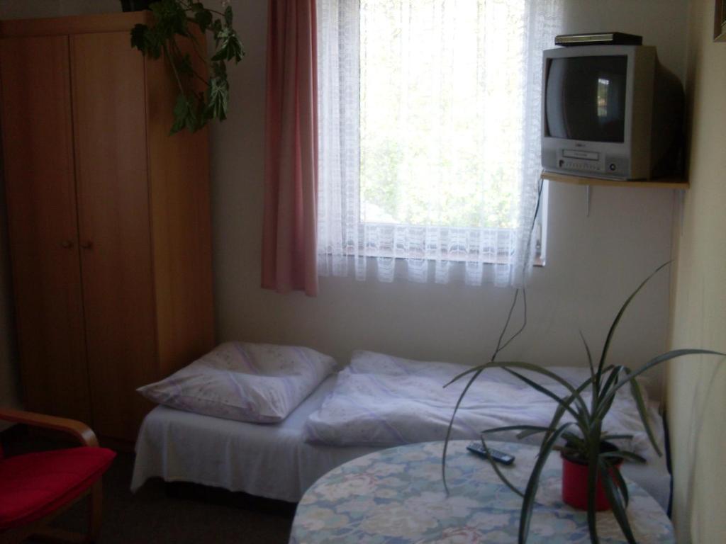 Pension U Kastanu Karlsbad Rum bild