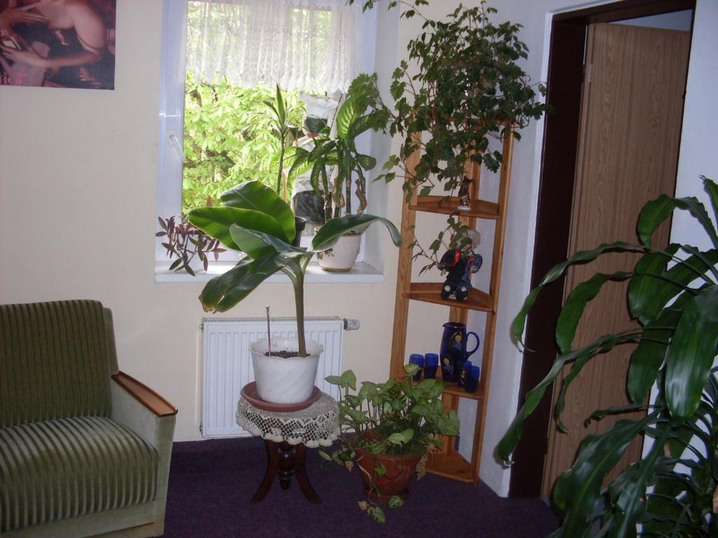 Pension U Kastanu Karlsbad Rum bild
